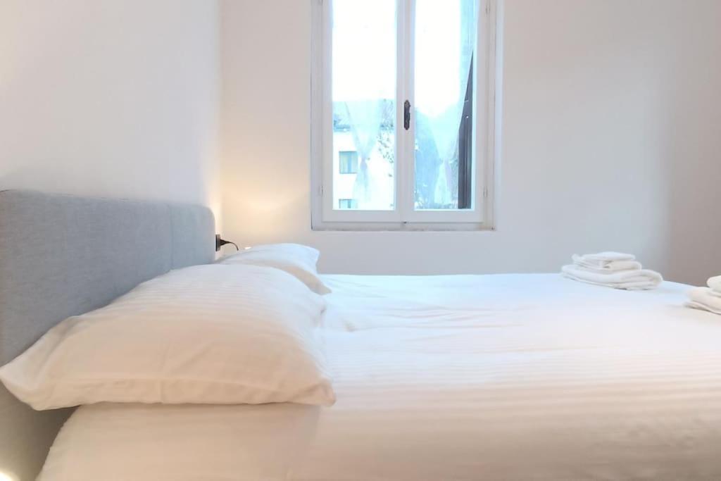 Vicino Zoncolan+Netflix E Wifi Apartment Treppo Carnico Exterior photo